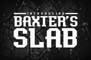 Baxter s Slab: The Typeface That Anchors Your Campaign